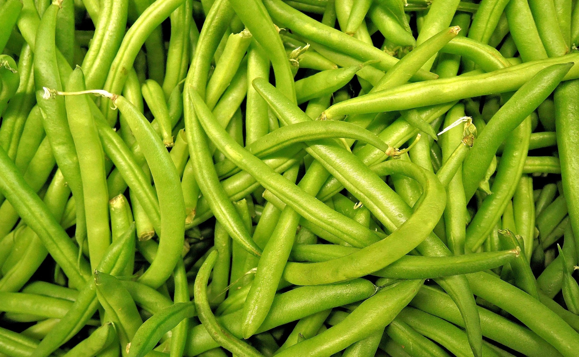 Fresh Vegetables